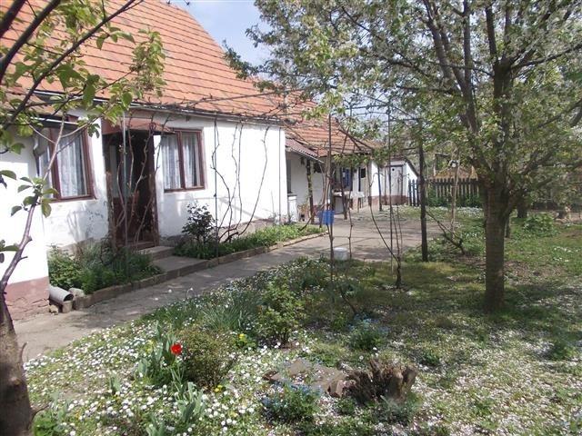 Prodaja kuce