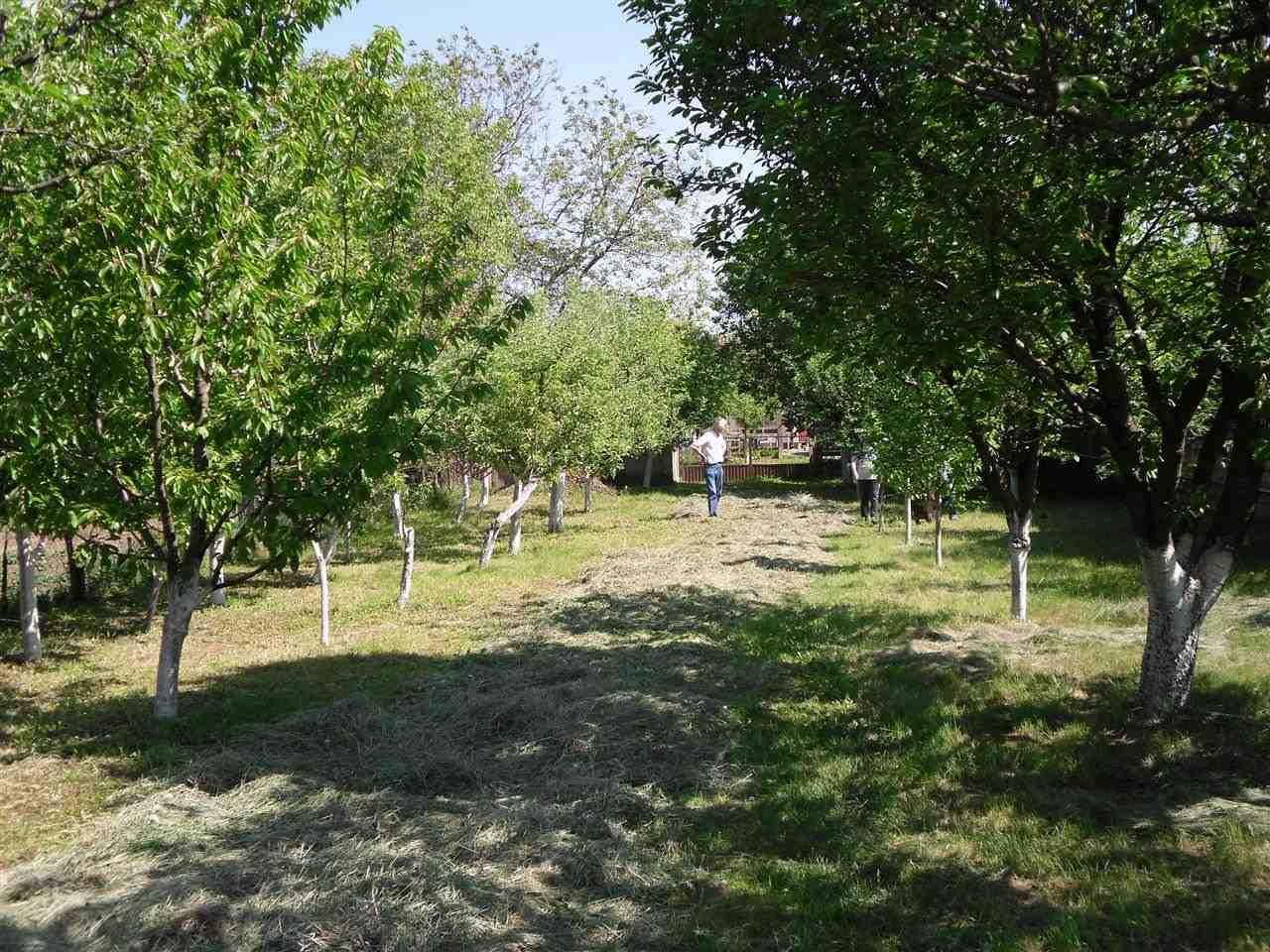 Kuću-Inđija-Beška