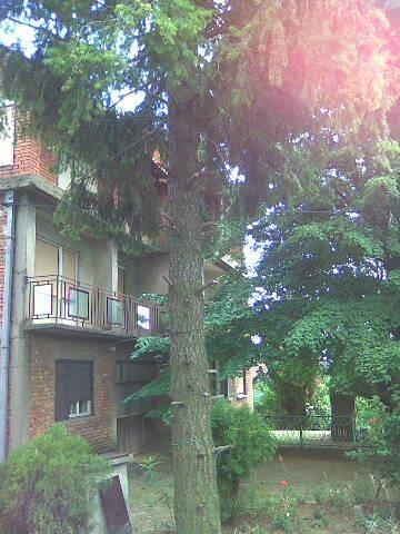 Kuca - vikendica od 210m2 u Beograd