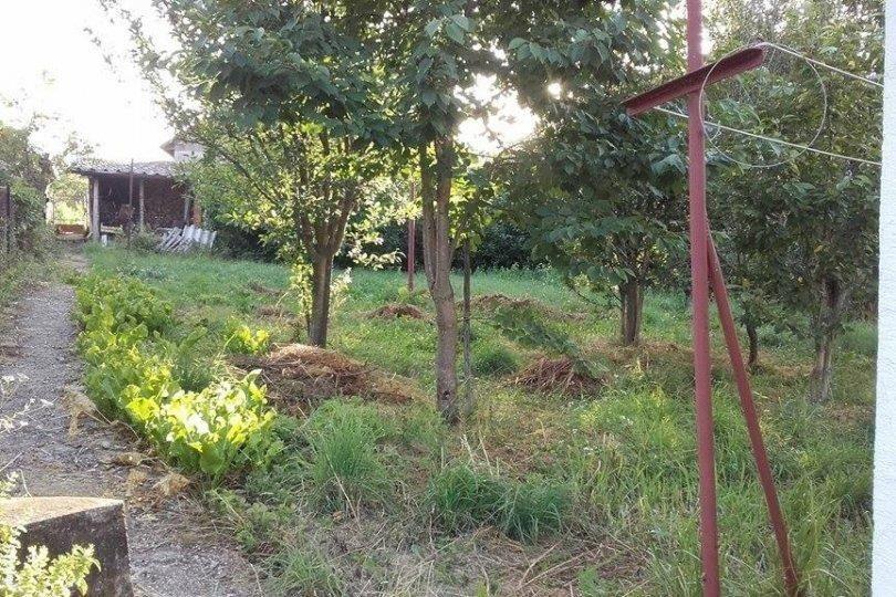 Odlicna-kuca-pored-puta
