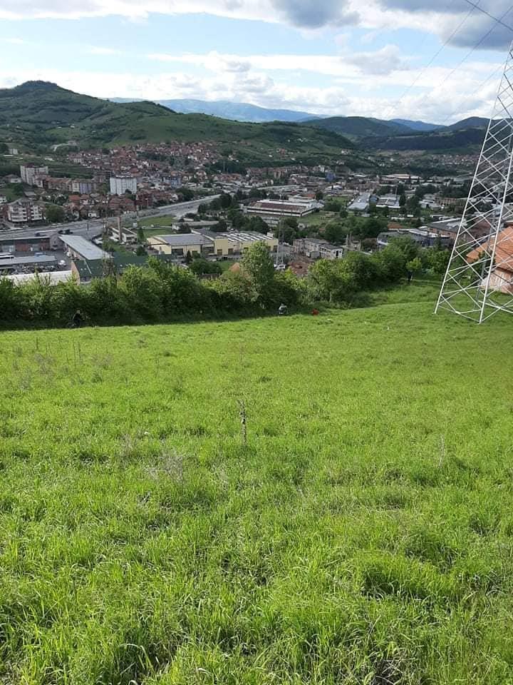Placevi