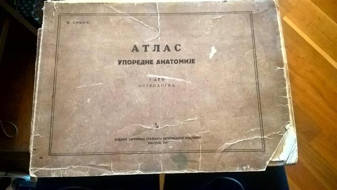 Atlas Uporedne Anatomije V Simić