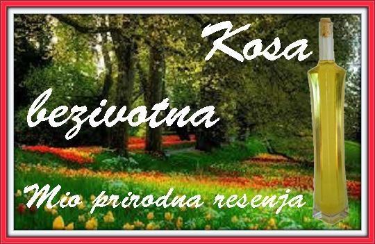 Kosa-bez-sjaja
