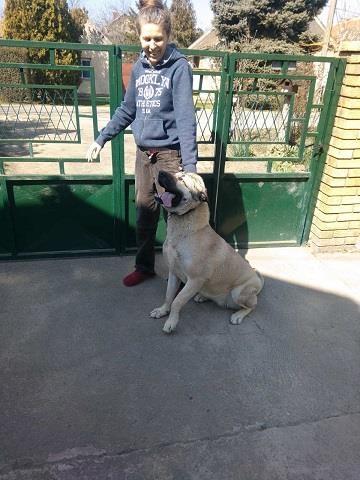 Turski-Kangal