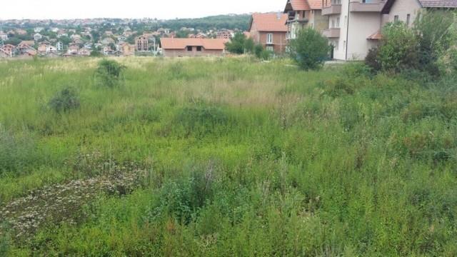 Plac-od-5000m2-u-nas--Miljakovac