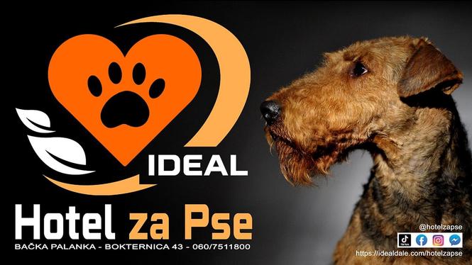Hotel za pse Ideal