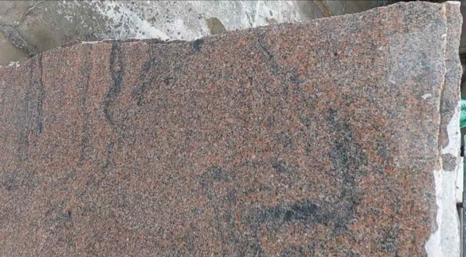 GRANIT---baltic-brovn--leopard-labrador