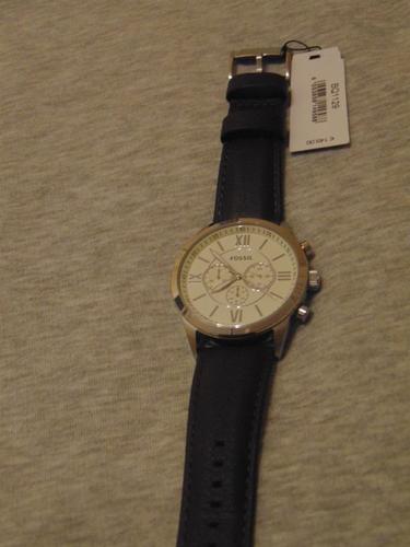 Original Fossil
