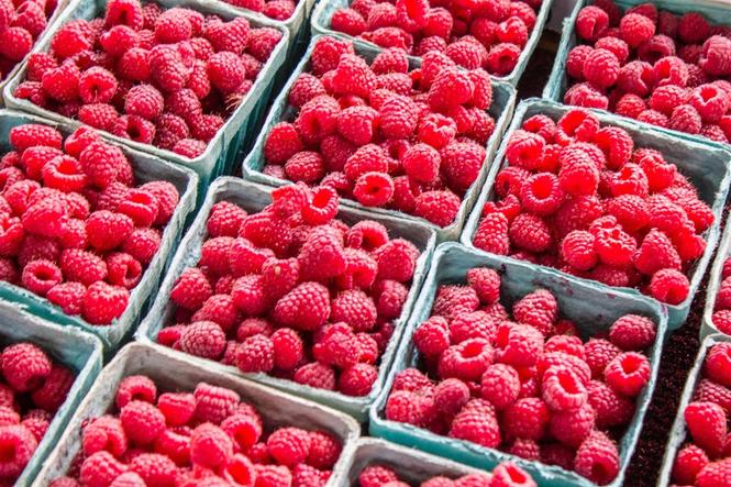 Prodajem sadnice maline polana