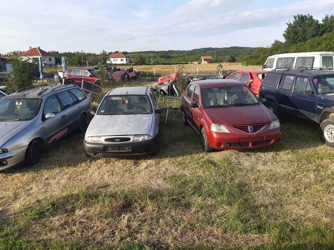 Fiesta 1.3i