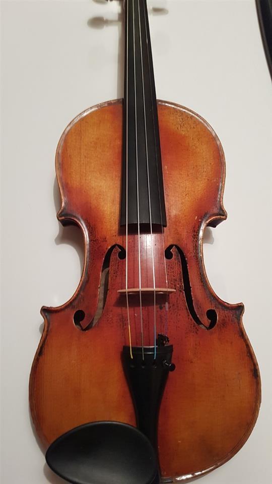 Violina