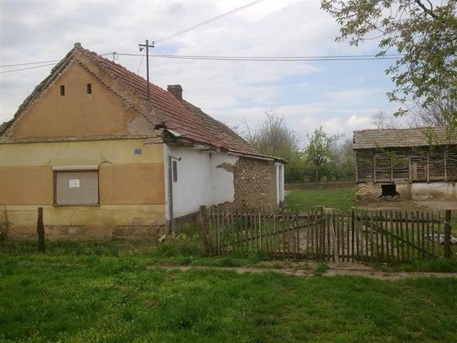kuca