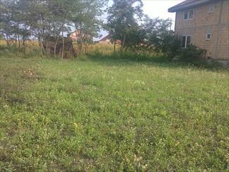 Plac 572m2 - Veternicka rampa