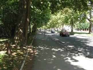 Voždovac, Bulevar Oslobodjenja