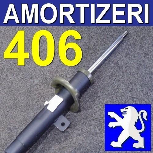Amortizeri 406
