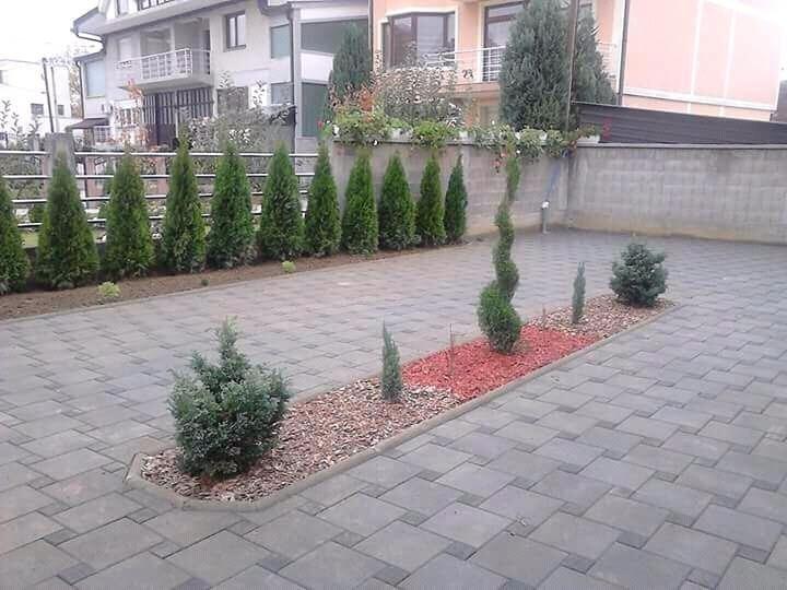 Tuje--Uredjenje-dvorišta-