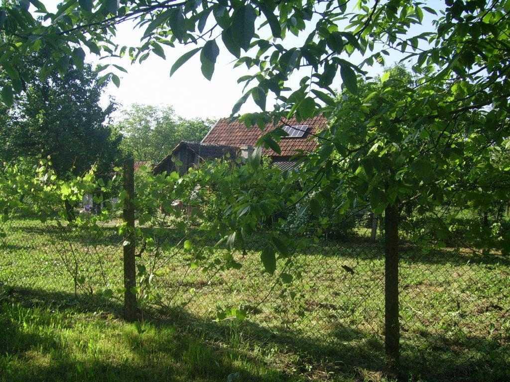 Vikendica-i-vocnjak-