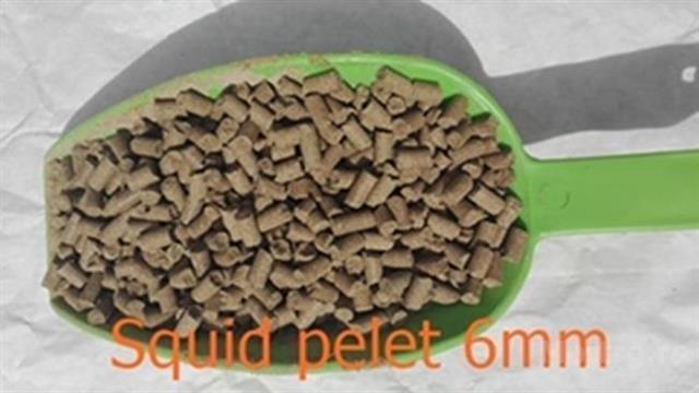 Pelet squida 6mm