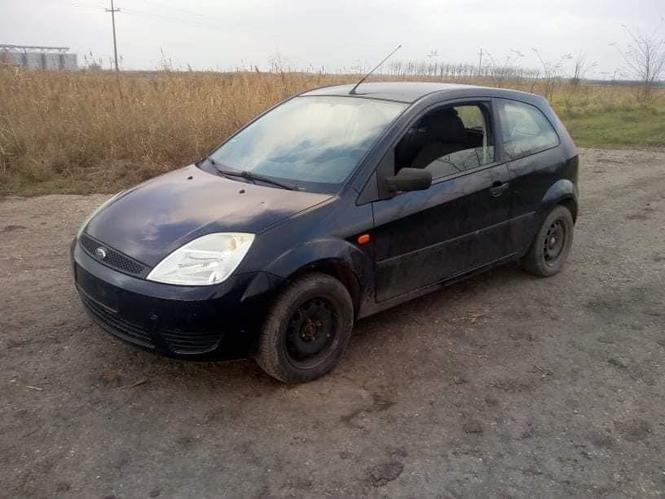 fiesta