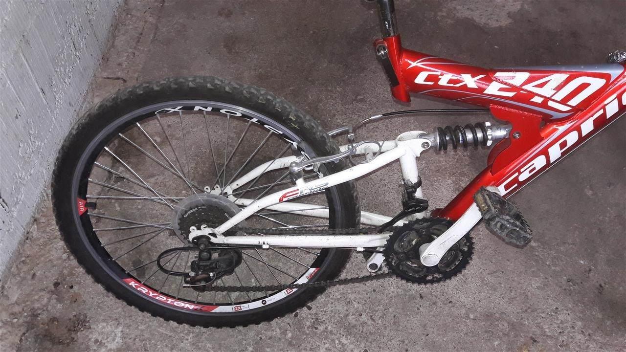 Capriolo-CTX-240