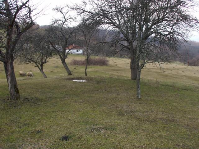 Seosko-domacinstvo-Kosjerić-