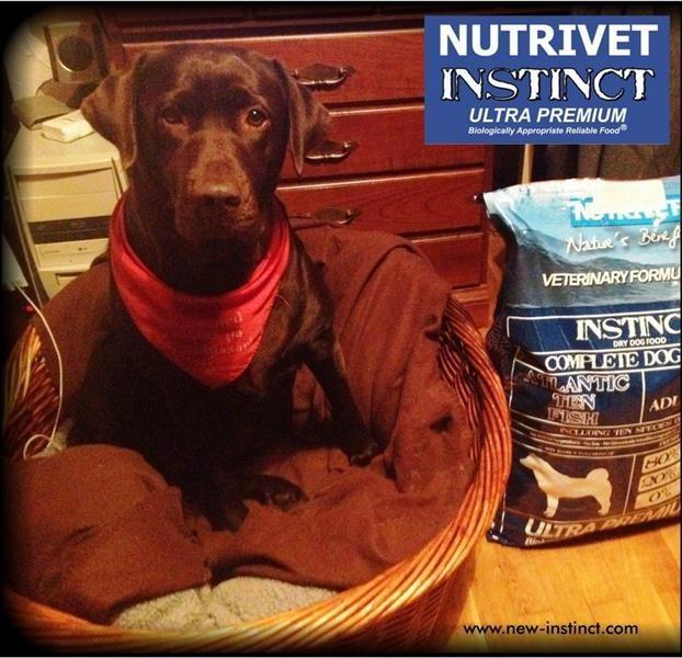 Hrana-za-pse--NUTRIVET--riba