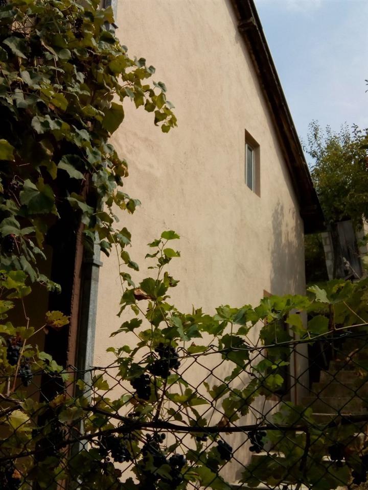 Vila-u-banji-Trepca