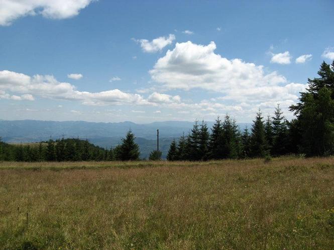 Plac Golija