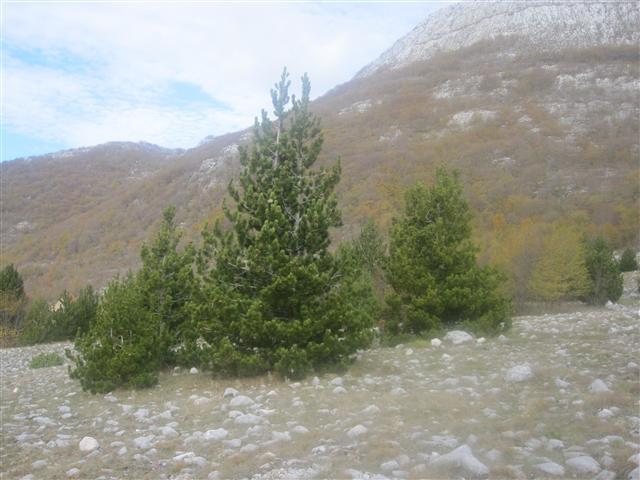 Plac-6358m2-