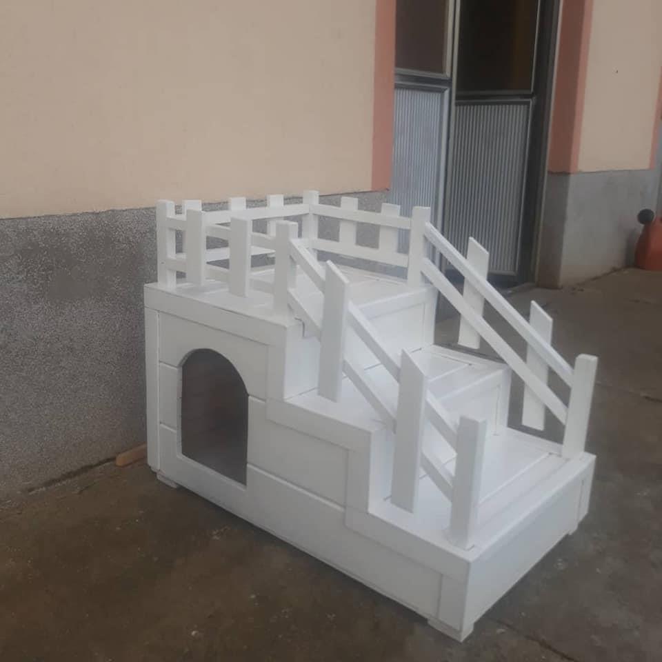 Kucice-za-pse