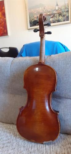 Violina