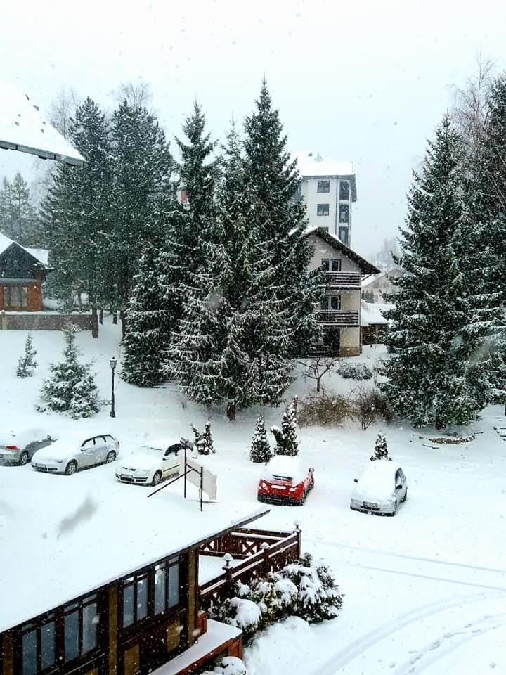 Zlatibor