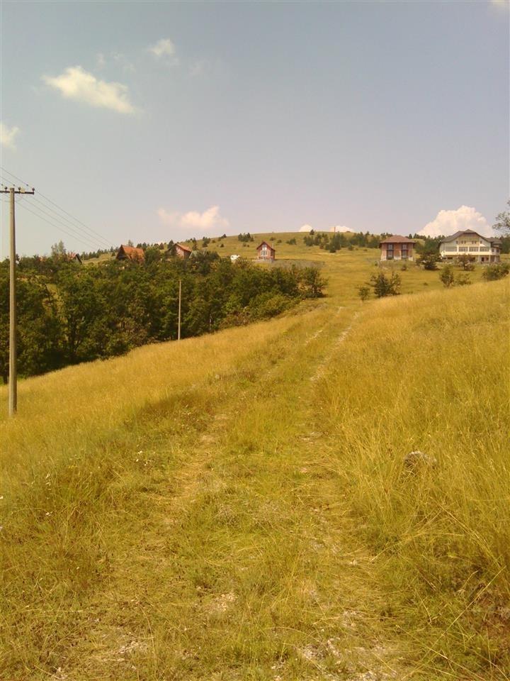 ZLATIBOR
