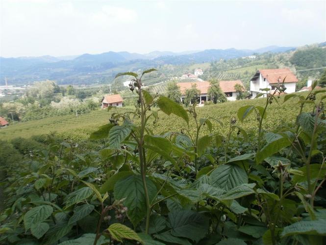 POTREBNI RADNICI