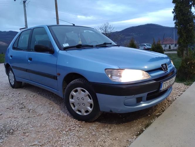 Pezo 306