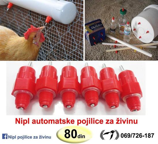 Automatske pojilice