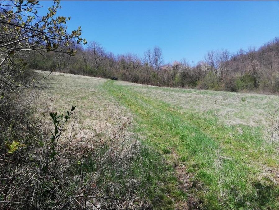 2-livade-1-6ha