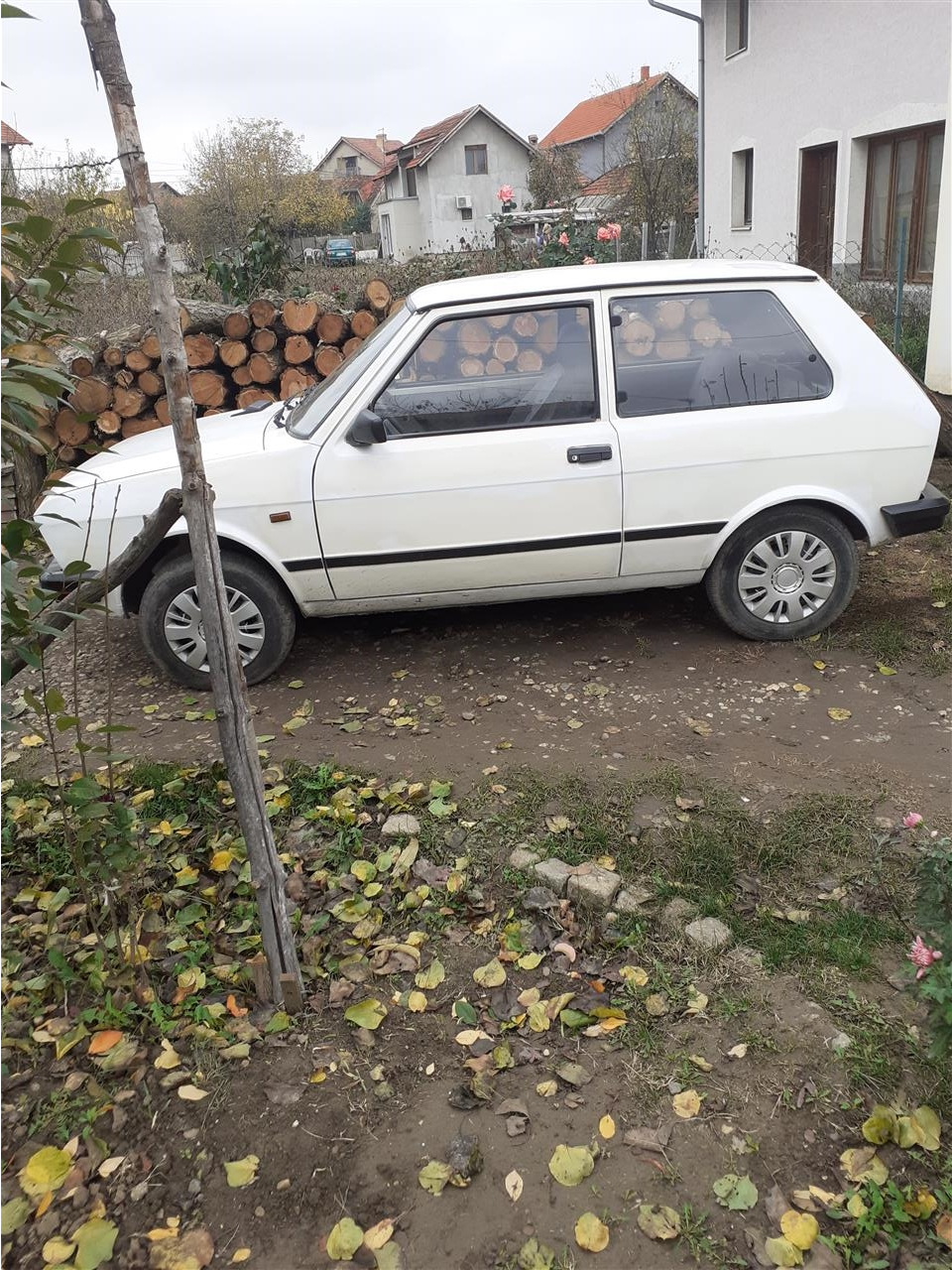 Yugo-koral-1-1