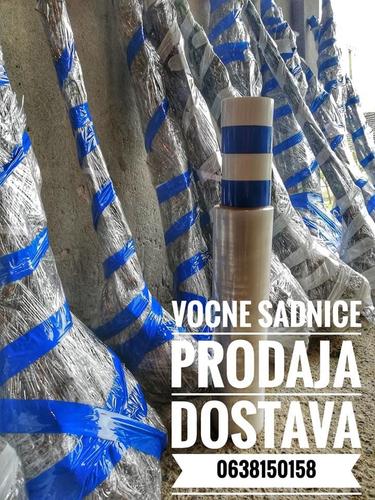 &#55357&#56546Vocne Sadnice Snizenje &#55357&#56546
