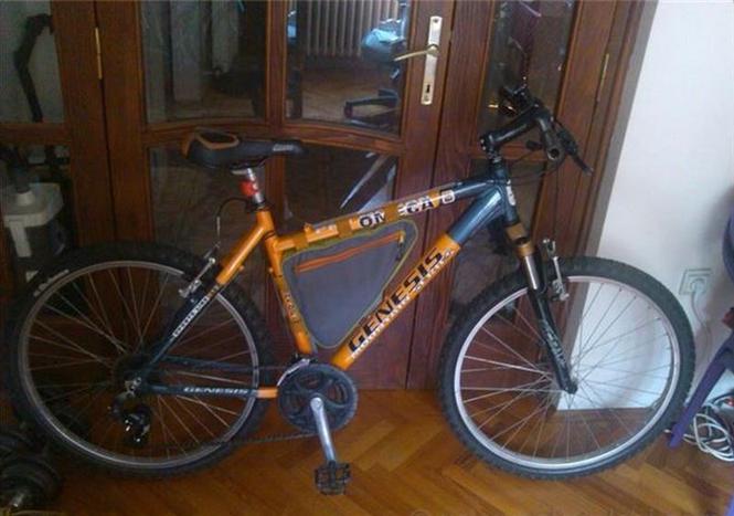 Genesis Pro Omega Mountain series