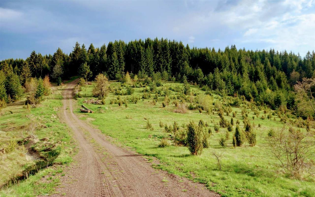 ZLATAR-PLANINA