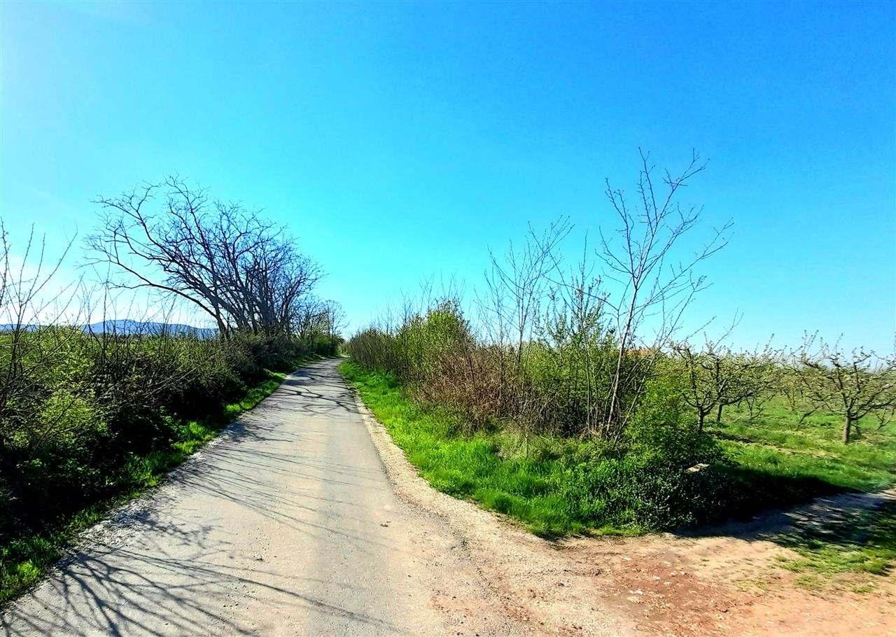 Prodaja-placa-Kosmaj