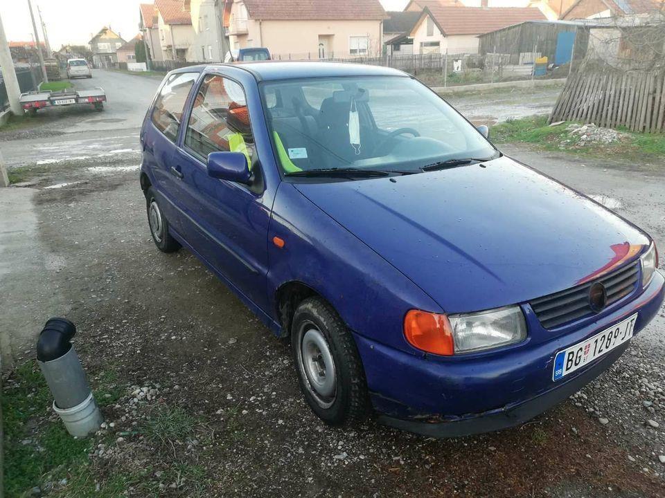 Polo-reg-dobar