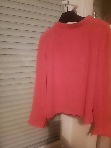 Bluza