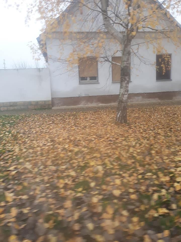 Kuca