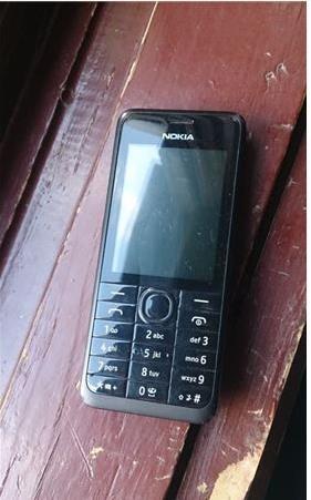 Nokia 301