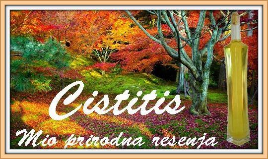 Cistitis
