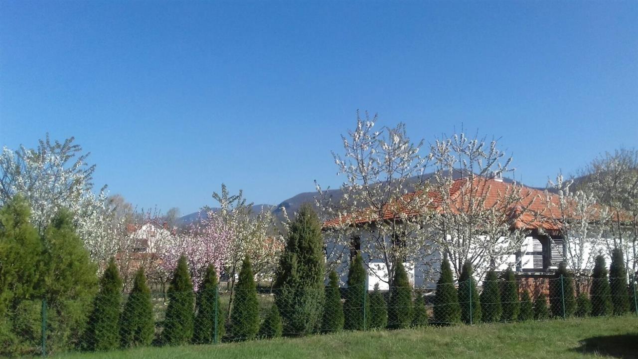 Izdavanje-kuće-u-Sokobanji