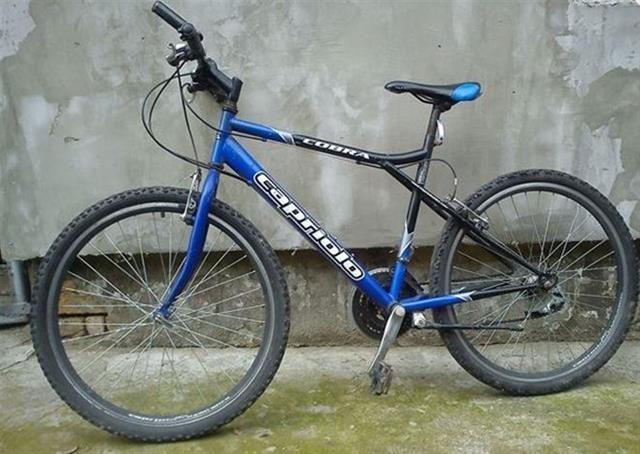Capriolo Cobra