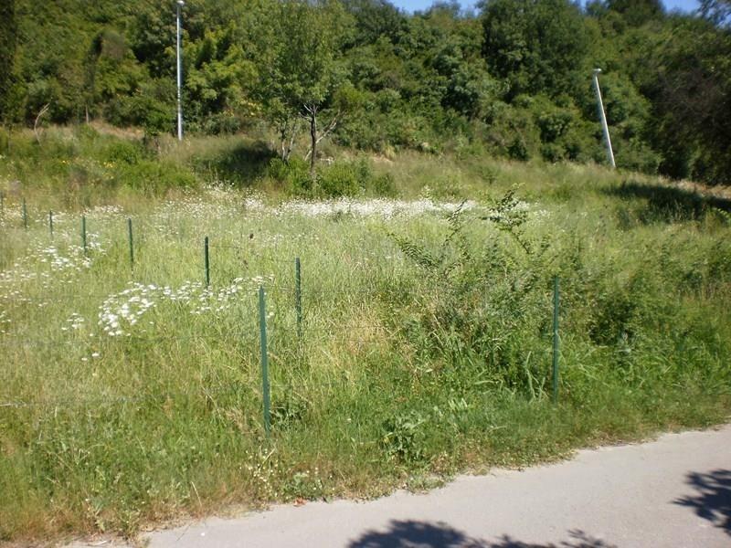 PLAC-U-IGALU
